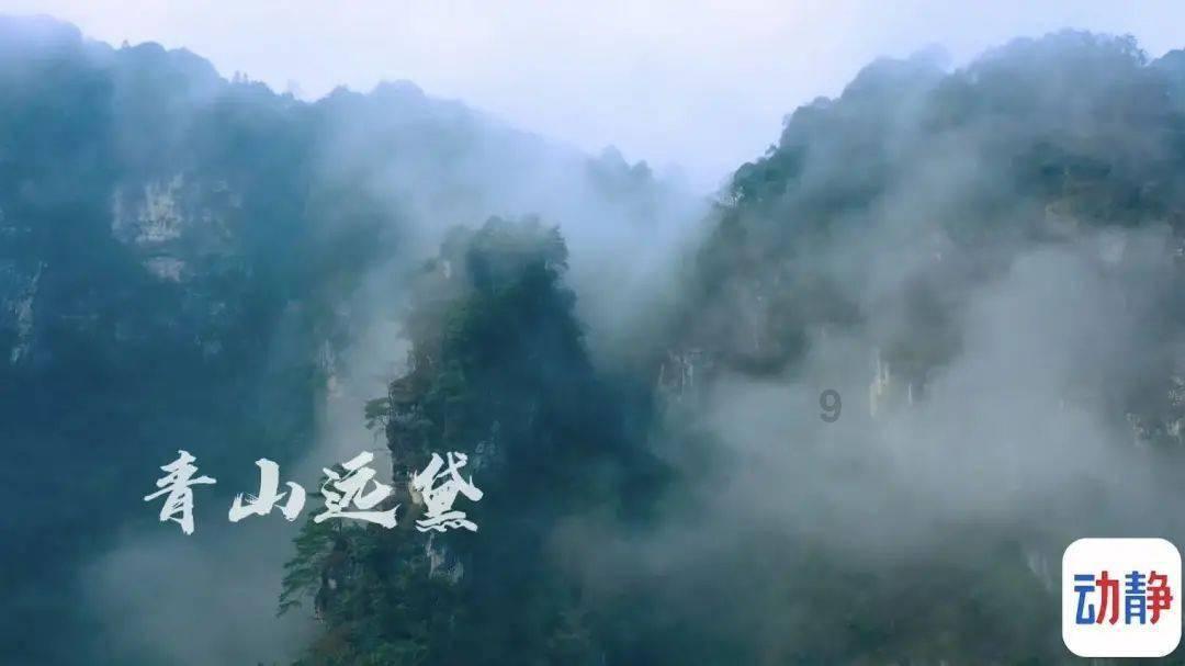 小乌龟生病了,8岁女儿挺着急,懂行的朋友来看看- 知识星球平台,深入探索知识的乐园