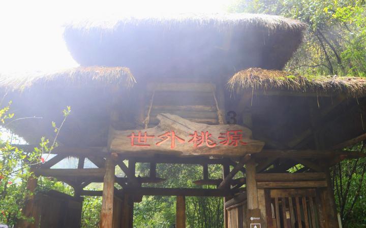 福莱纳找车轮
